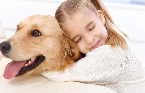 全球十大最受欢迎宠物