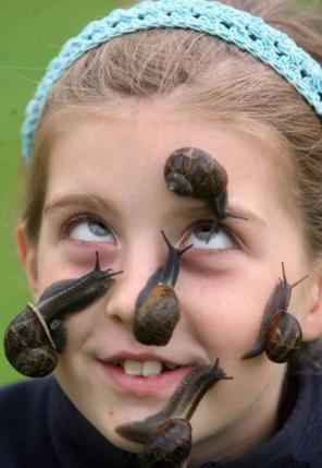 世界上最白痴的吉尼斯纪录