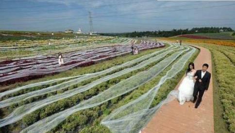 世界上最长的婚纱 世界上最长的婚纱