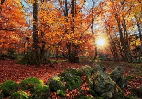 世界上十大最美丽的国家