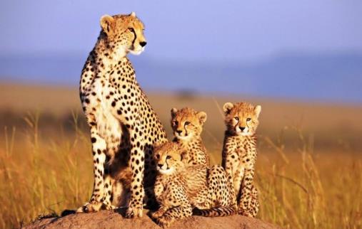 世界上十大最美丽的国家