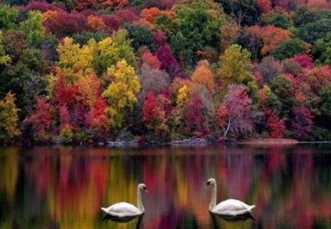 世界上十大最美丽的国家 世界上十大最美丽的国家