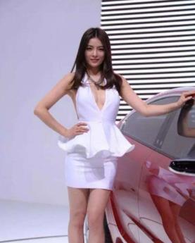 中国十大顶级车模