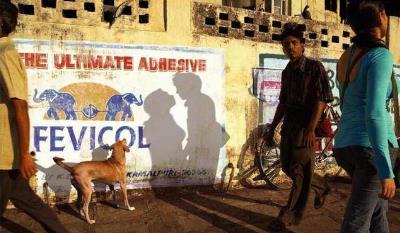 世界十大巧合照片 世界十大巧合照片