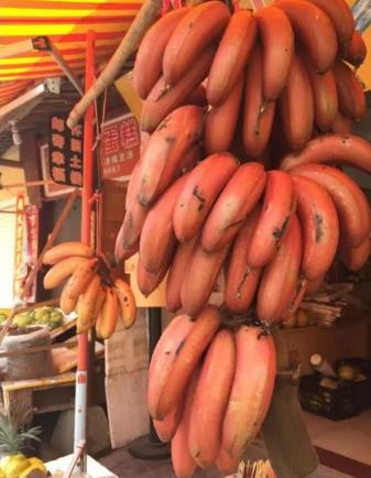 奇怪的香蕉 奇怪的香蕉