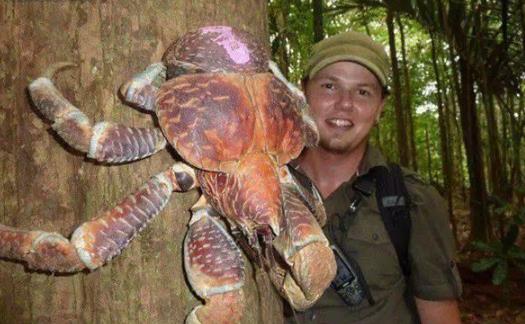 世界上最奇怪的动物