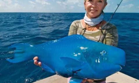 世界上最奇怪的动物