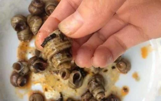 有四道菜寄生虫最多 有四道菜寄生虫最多