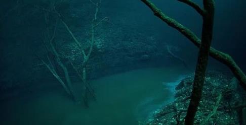 海洋奇观 海洋奇观