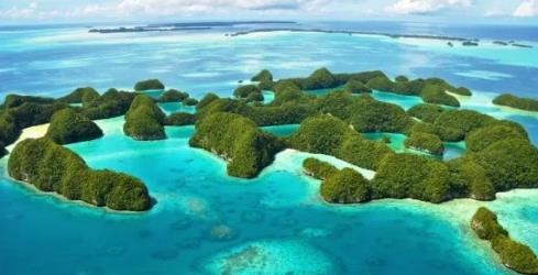 海洋奇观 海洋奇观