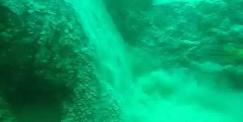 海洋奇观 海洋奇观