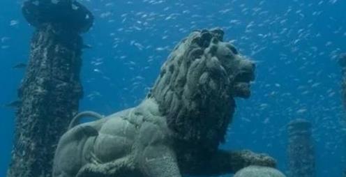 海洋奇观 海洋奇观
