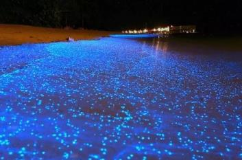 有个地方要小心了