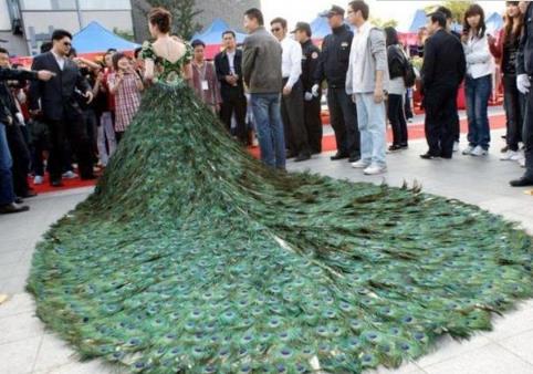 世界上最昂贵的婚纱