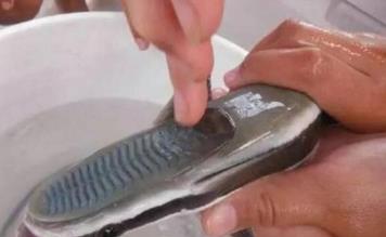 这种鱼长了这一张鞋底板的脸