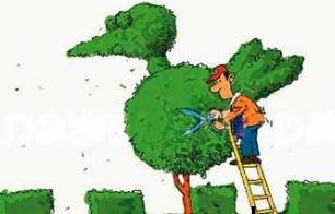 女生最吃香的十大职业