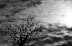 世界最严重的自然灾害：