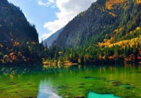 世界十大花海 世界十大花海