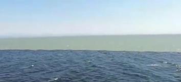两片海水居然不会交融