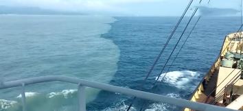 两片海水居然不会交融