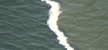 两片海水居然不会交融