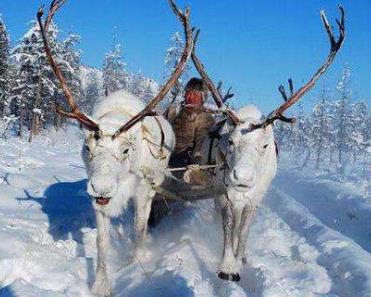 世界上最冷的地方