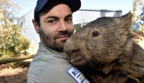 这个小家伙真奇怪