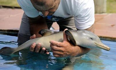 这些小动物们真是太萌了 这些小动物们真是太萌了