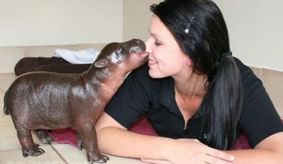 这些小动物们真是太萌了