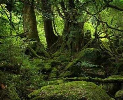 日本奇葩的民族风俗