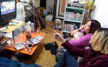 日本这个网站比阿拉神灯还牛