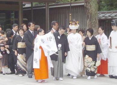 日本这个网站比阿拉神灯还牛