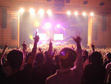 日本这个网站比阿拉神灯还牛