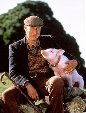 8部小盆友们也可以看的励志电影