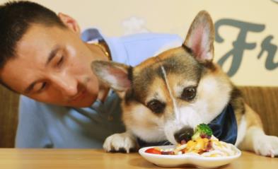 盘点那些适合年轻人创业低成本高收入的项目 盘点那些适合年轻人创业低成本高收入的项目