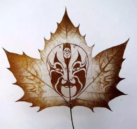 这才是世界上最独一无二的叶子