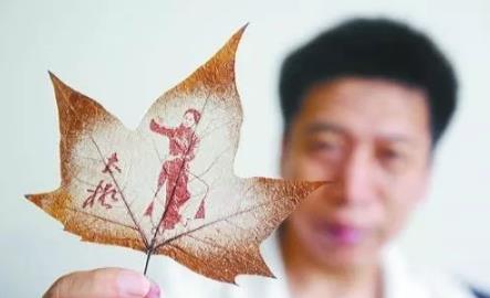 这才是世界上最独一无二的叶子