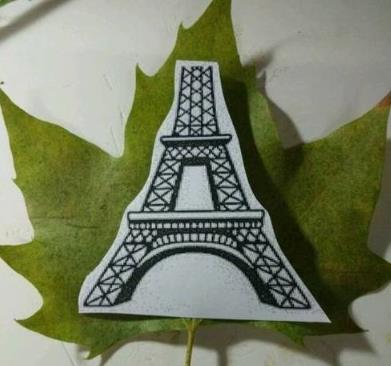 这才是世界上最独一无二的叶子