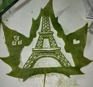 这才是世界上最独一无二的叶子