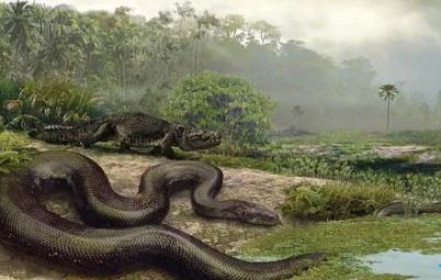 世界上最长的蛇 世界上最长的蛇