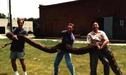 世界上最长的蛇 世界上最长的蛇