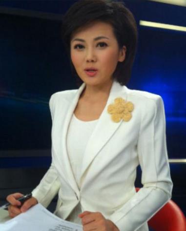 央视十大美女主持人 央视十大美女主持人