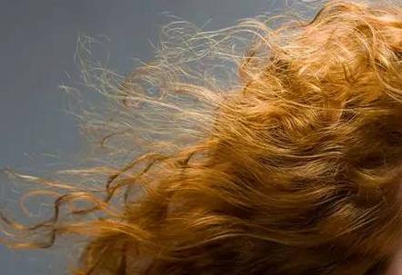 如何摆脱掉发困扰