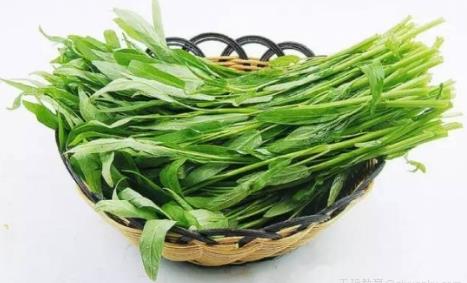 抽筋菜你听过吗