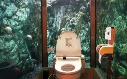世界最奇葩的厕所