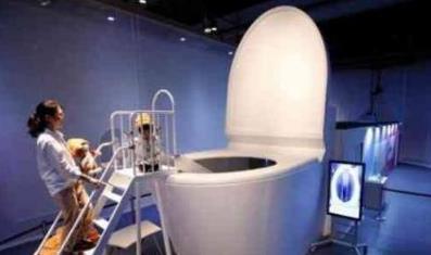 世界最大的马桶