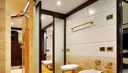 世界最大的马桶