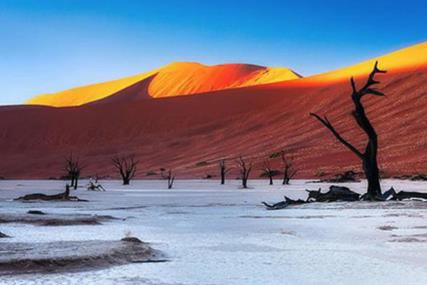 地球上仅存的几个的森林 地球上仅存的几个的森林