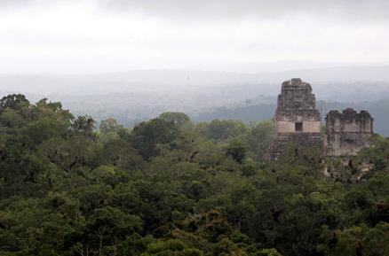 这五个全球最惊险刺激的丛林 这五个全球最惊险刺激的丛林
