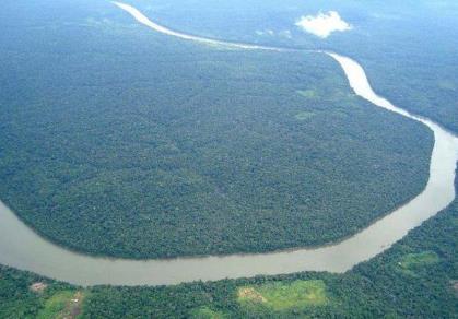 全球7大原始的森林